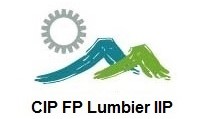 web CIP FP Lumbier IIP