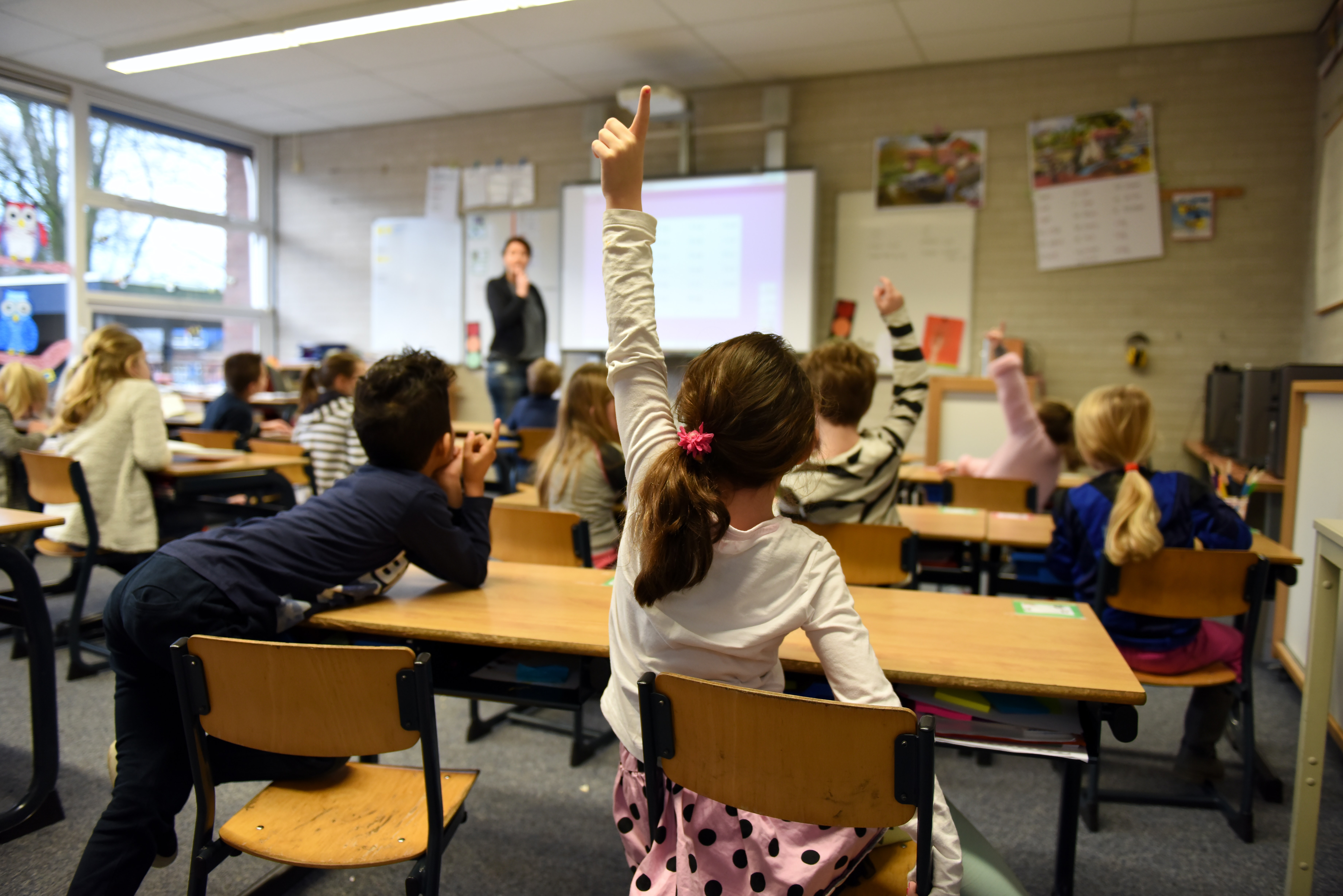Educación aprueba una nueva oferta de empleo de 262 plazas docentes